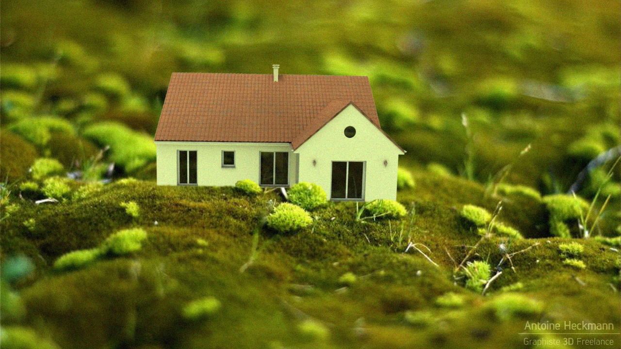 Maison miniature
