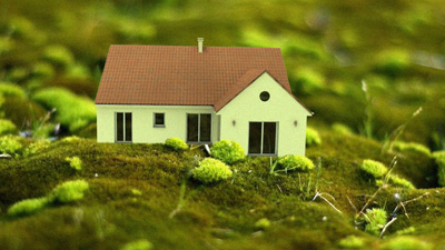 Image d'apercu de la maison miniature